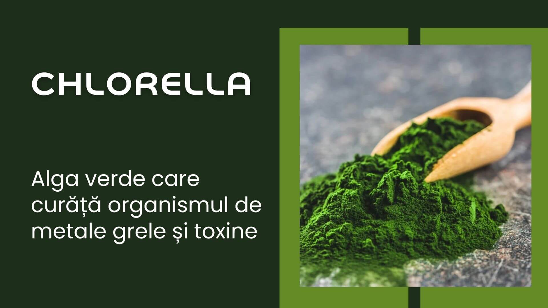 Chlorella: Alga verde care curăță organismul de metale grele și toxine