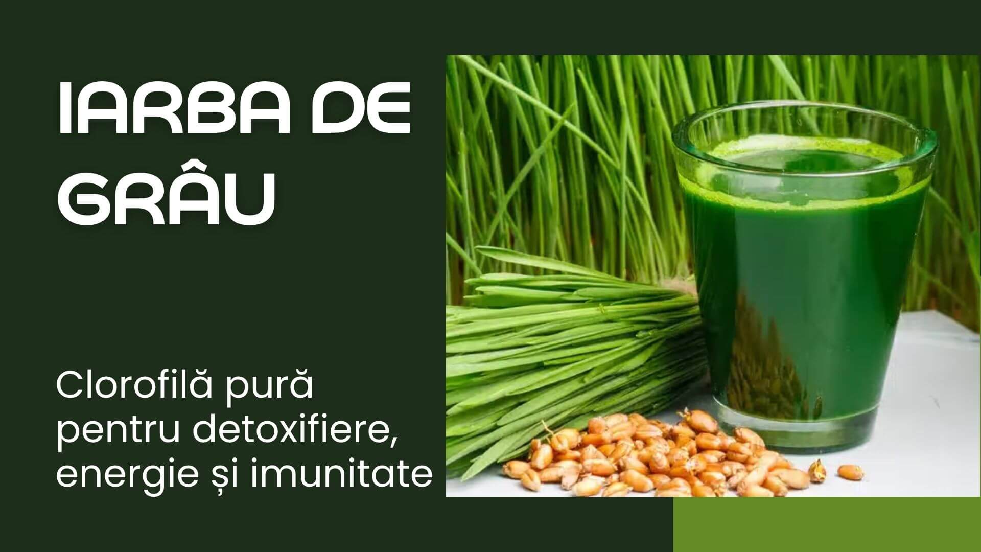 Iarba de grâu: clorofilă pură pentru detoxifiere, energie și imunitate